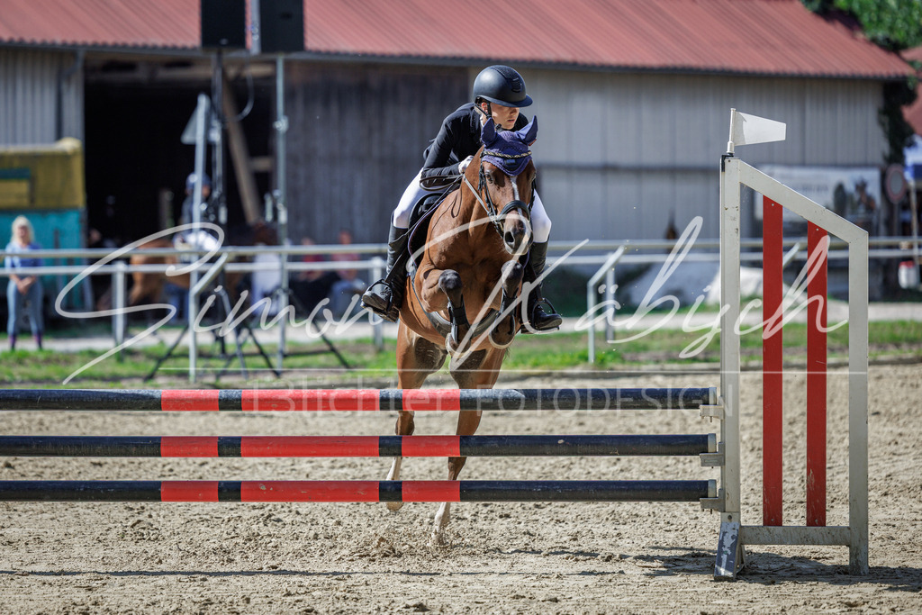 20260905-_3LI9247 | Tierfotografie Pferde, Hunde, Katzen, Haustiere.
Turnierfotografie Reitturniere, Reiten, Springreiten, Dressur in Hanau, dem Main-Kinzig-Kreis und dem Rhein-Main- Gebiet um Frankfurt