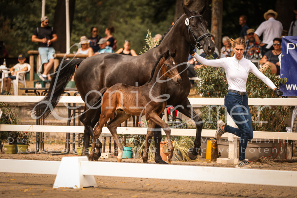 SaPA00122 | Leoni Ertmer Photography - Realisiert mit Pictrs.com