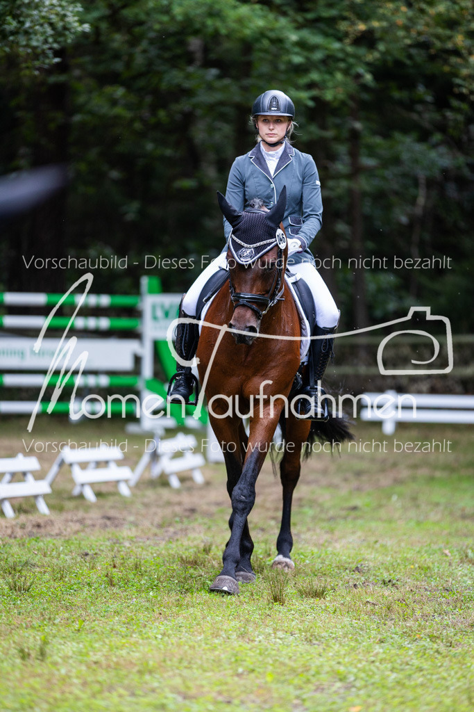 HB-A-Dressur-090 | MomenTaufnahmen Pferdesportfotos
