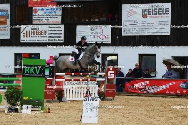 OHT2491 | Fotografie, Tiere, Hunde, Katzen, Pferde, Sportfotografie, Fotosession, Tierfotografie, Turnierfotografie, Fotografin, Fotograf - Realisiert mit Pictrs.com