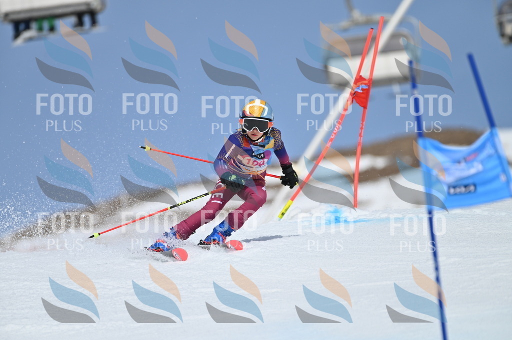 BGV_0948 | holidayphoto