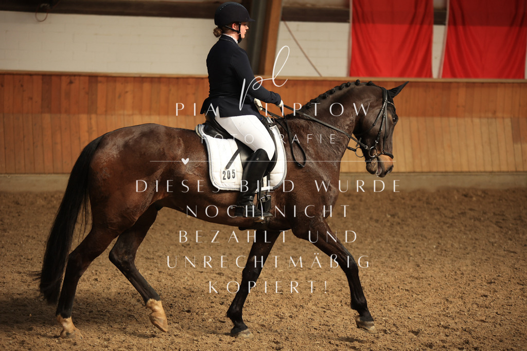 IMGT4933 | pl-fotografie