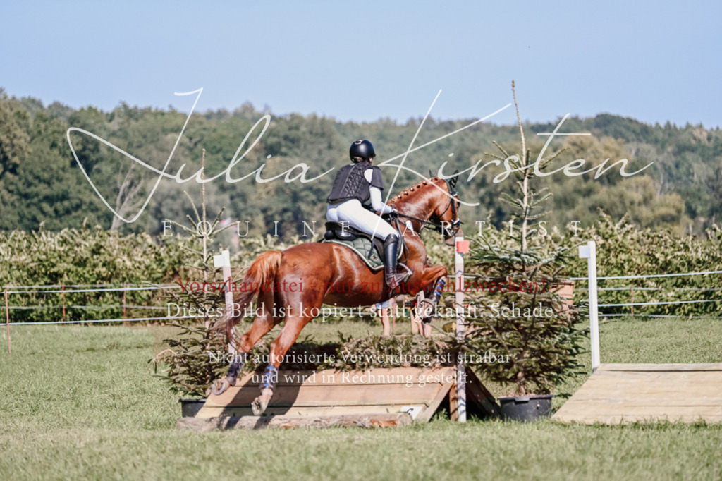 DSC_3159 | Pferde- und Turnierfotografie in Westsachsen. Pferdeportraits, Auftragszeichnungen und intuitive Kunst.