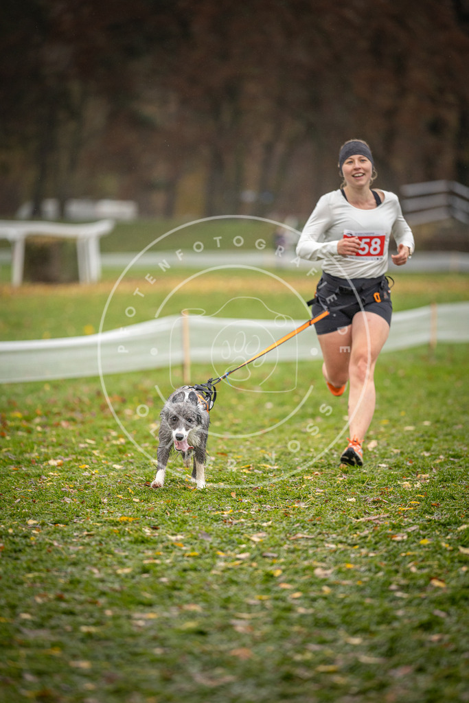 CaniXpix_DV3A9535 | Hundefotografie, Tierfotograf, Pfotenfotografie, Fotoshooting Hund, Hunde Portrait, Hundesport, Hundeportraits, Heideshooting, Hunde, Sportfotograf, Hundefotograf, Turnierhundsport, THS,  - Realisiert mit Pictrs.com
