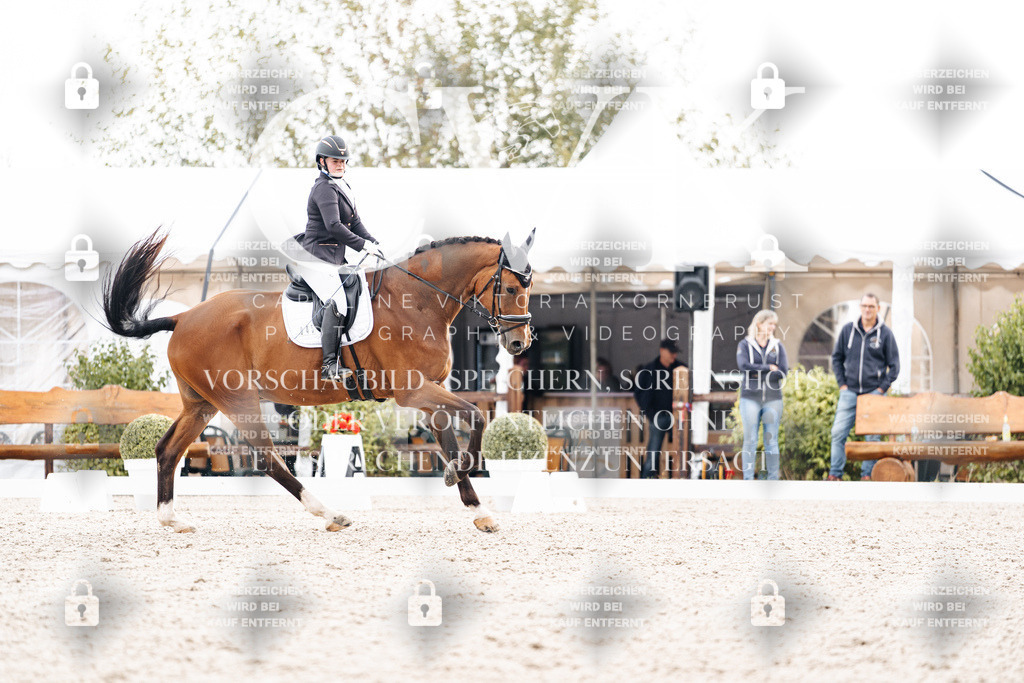 CK900786 | Turnierfotografie Pferdefotografie Trier Rheinland-Pfalz Pferdesport Reitsport Tierfotografie Sportfotografie Pferdevideo Pferdevideografie Equestrianvideography equestrianphotography  - Realisiert mit Pictrs.com