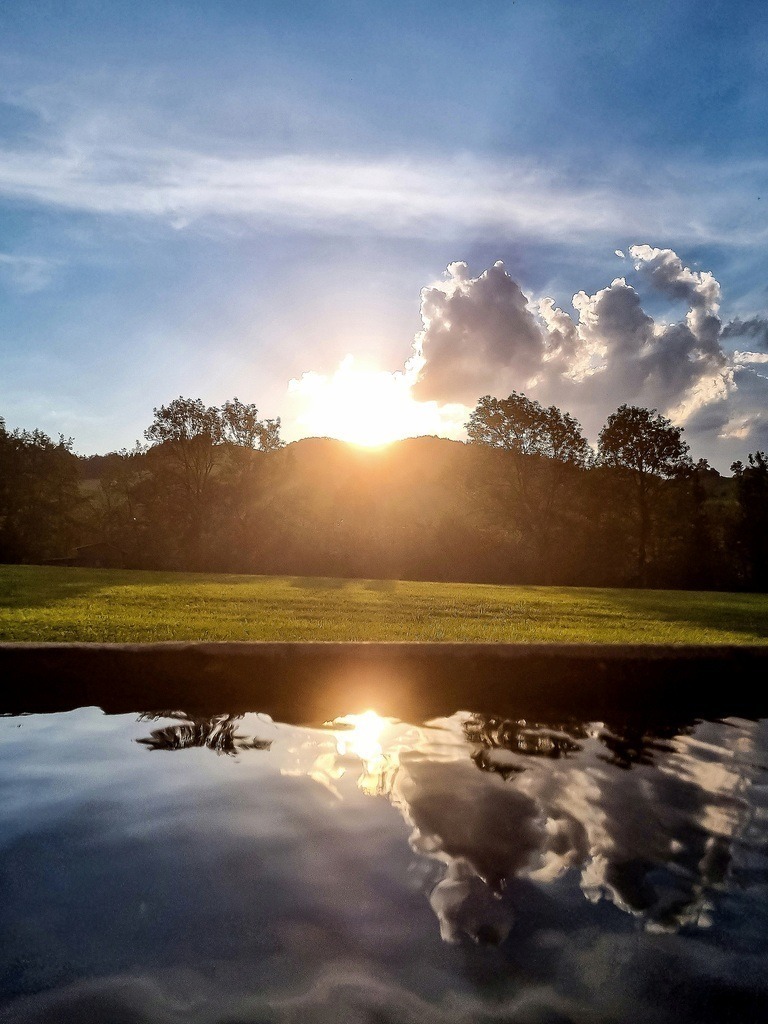 PSX_20220617_123042 | mtkfoto_ - Realisiert mit Pictrs.com