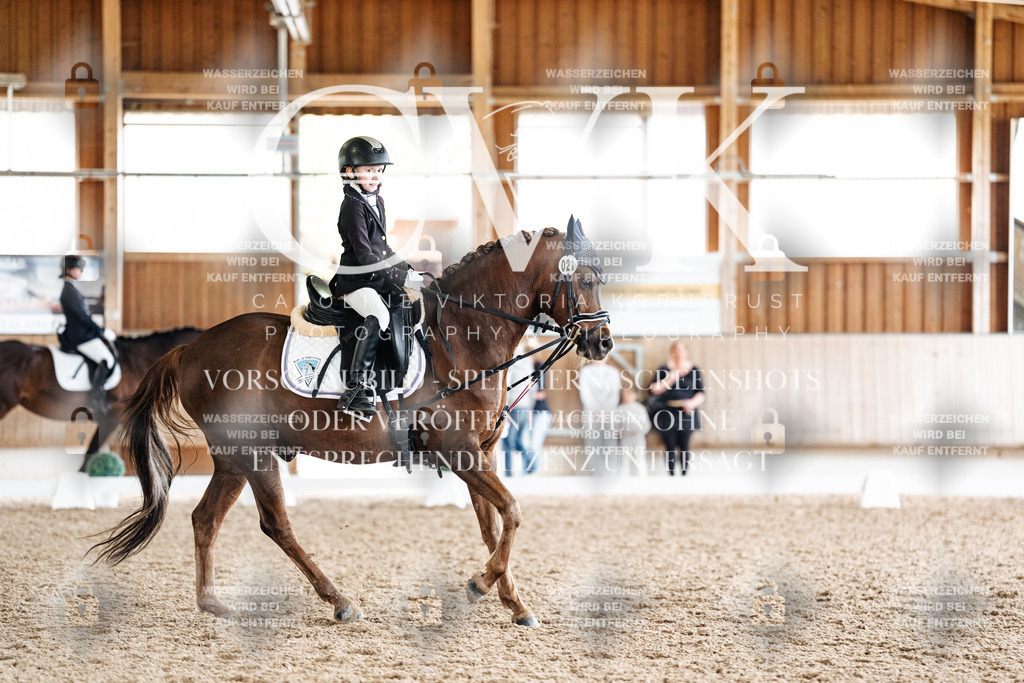 CK901672 | Turnierfotografie Pferdefotografie Trier Rheinland-Pfalz Pferdesport Reitsport Tierfotografie Sportfotografie Pferdevideo Pferdevideografie Equestrianvideography equestrianphotography  - Realisiert mit Pictrs.com