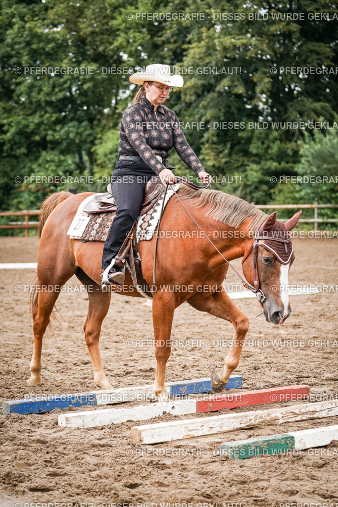 DSC04036 | Pferdegrafie