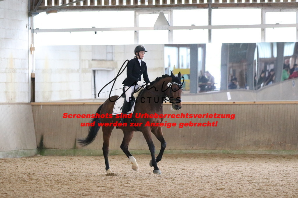 IMG_7349 | lmwpictures - Realisiert mit Pictrs.com