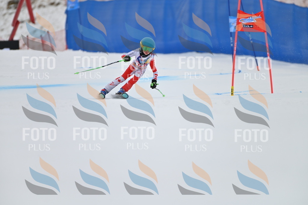 BGV_1063 | holidayphoto