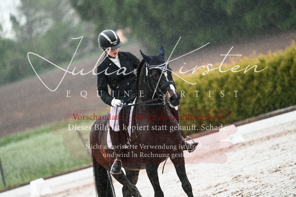 DSC_4683 | Pferde- und Turnierfotografie in Westsachsen. Pferdeportraits, Auftragszeichnungen und intuitive Kunst.