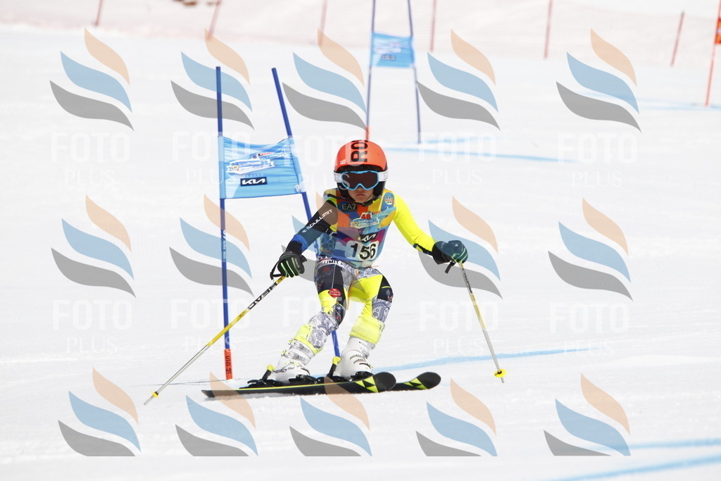 _U3G4219 | holidayphoto