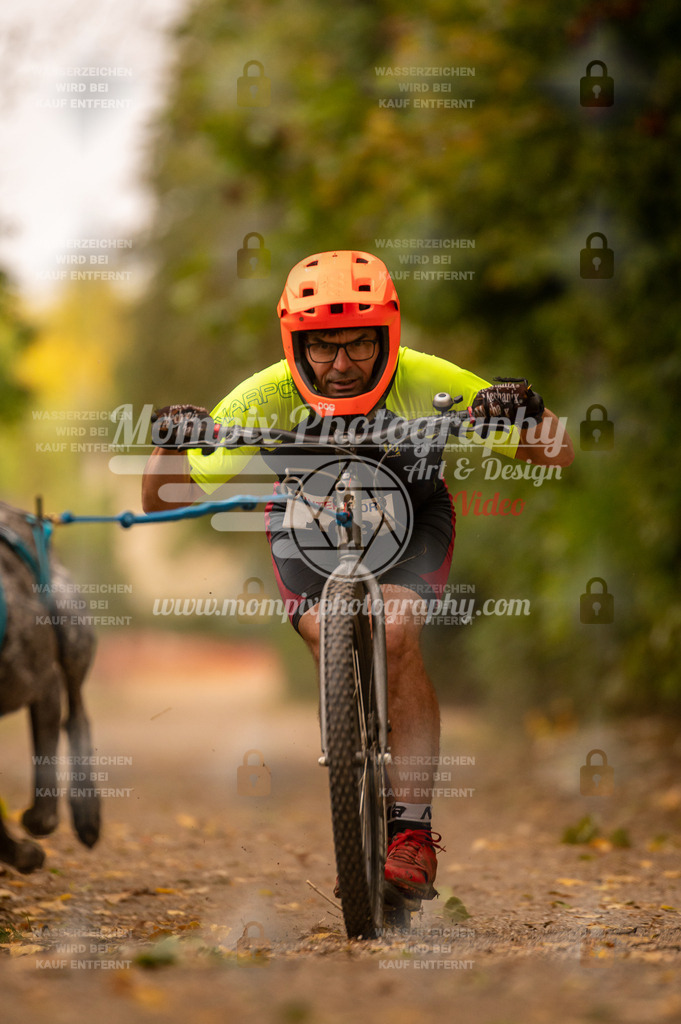 CDLBDB_14_10_2023_Samedi-150 | PayLife