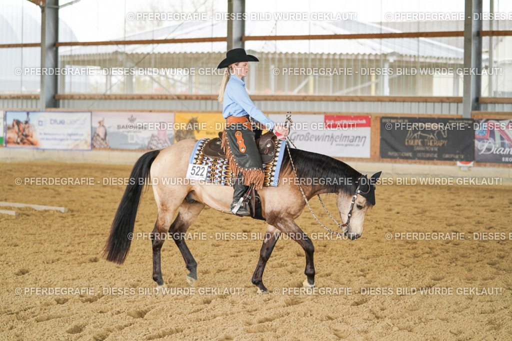 DSC03480 | Pferdegrafie