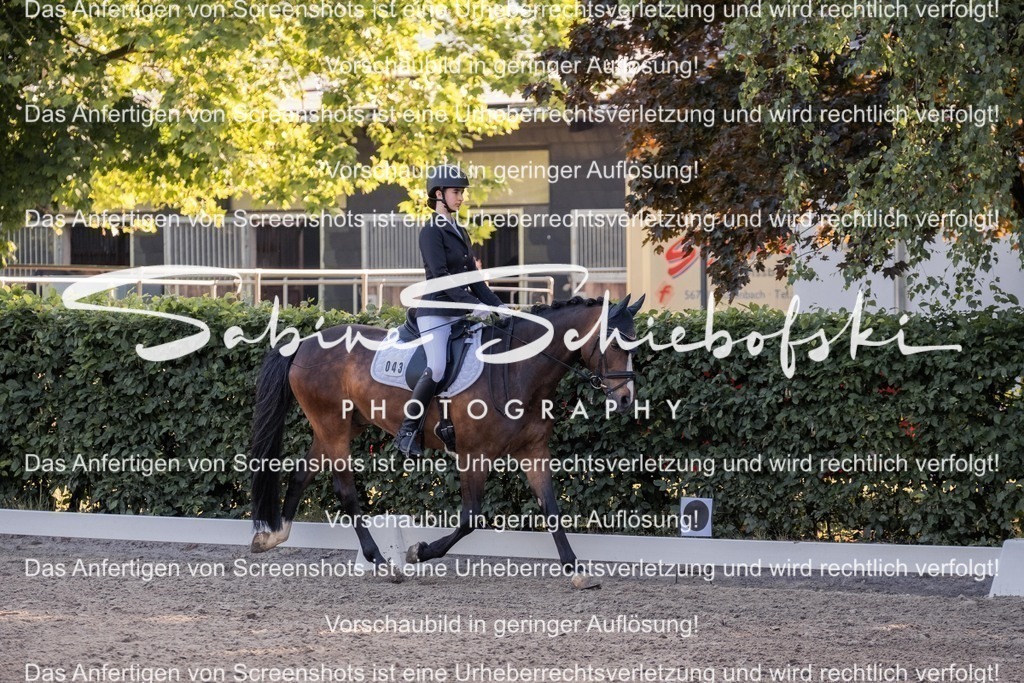 2025_05_31_DSCF2713 | People- und Tierfotografie, Imageaufnahmen, Veranstaltungsfotografie und Wandbilder aus der Natur ★ Made in Germany ✔️ Druck + Downloads ✔️ Naturfotografie in Top Qualität ★ schneller Versand, weltweite Lieferung! - Realisiert mit Pictrs.com