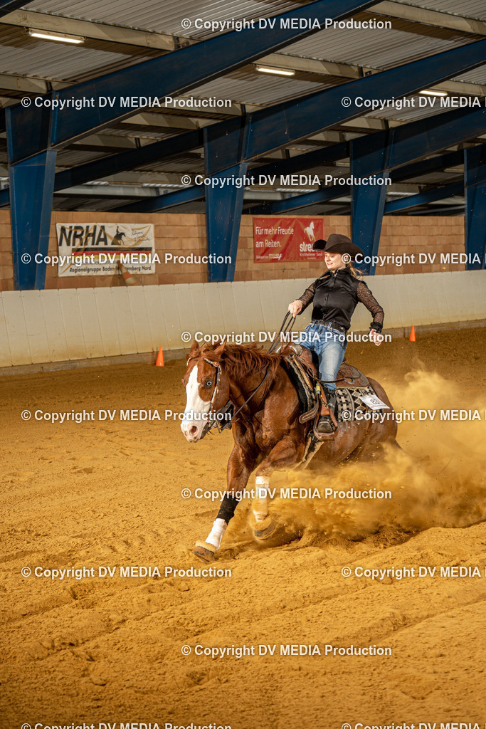 MIT00571 | dv-media-shop - Realisiert mit Pictrs.com