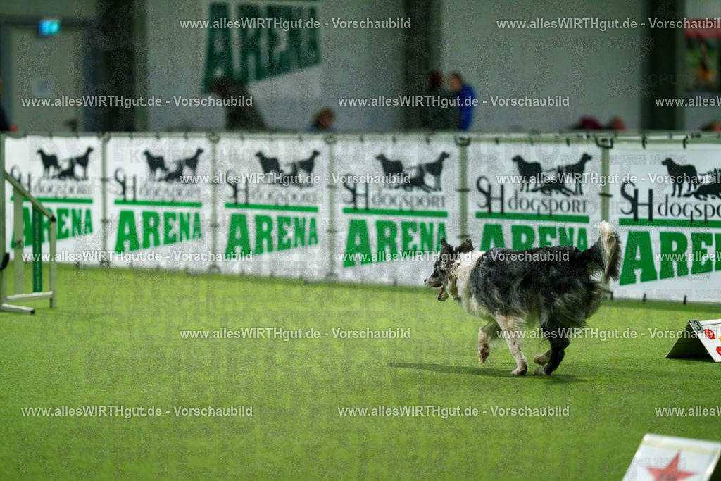 7R504429 | Professionelle Tierfotografie in Mönchengladbach von Daniel Wirth (allesWIRTHgut). Liebevolle & natürliche Bilder von Hunden & Katzen für unvergessliche Erinnerungen.