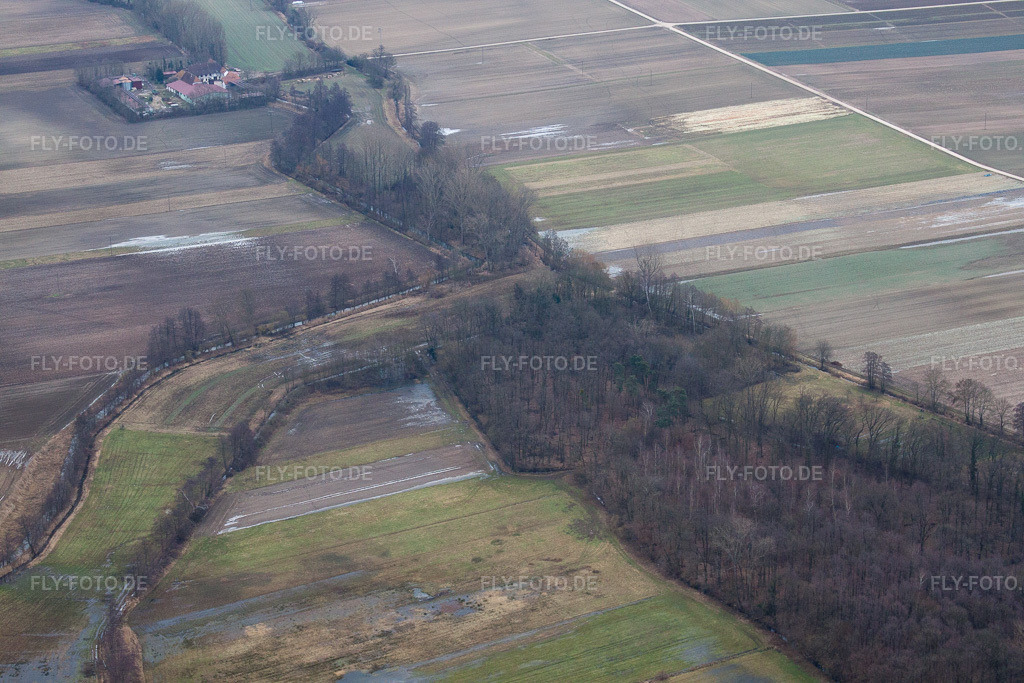 Luftbild: Jagdrevier an der Leistenmühle im Ortsteil Minderslachen in Kandel im Bundesland Rheinland-Pfalz in Deutschland. Foto: IMG_37272.jpg vom 23.01.2011 durch Werner Riehm/FLY-FOTO.de