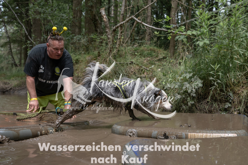 1337_ZZ94989 | kk-dogfotos