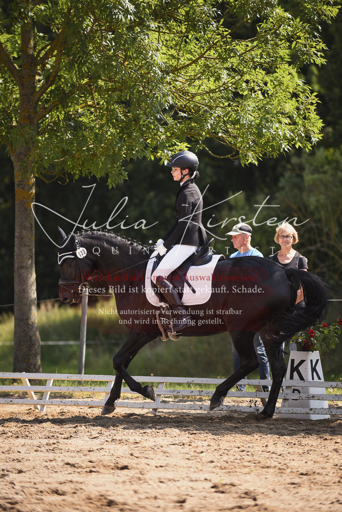 DSC_0658 | Pferde- und Turnierfotografie in Westsachsen. Pferdeportraits, Auftragszeichnungen und intuitive Kunst.