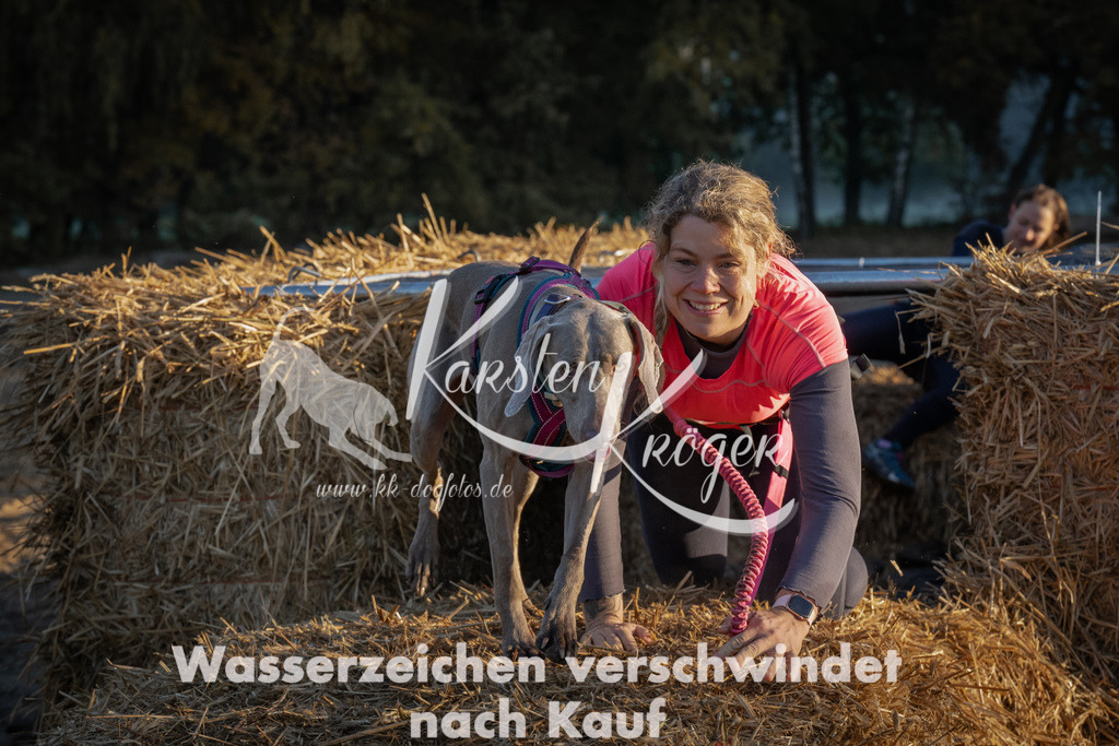 0907_ZZ91446 | kk-dogfotos