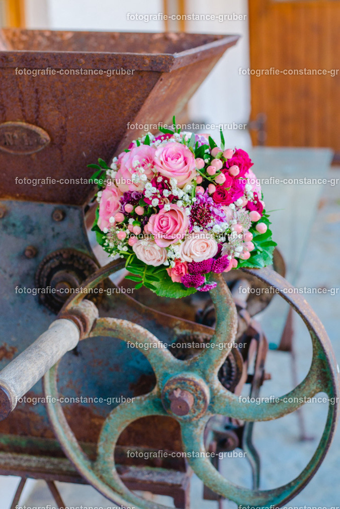 1010 | Fotografie Constance Gruber - Realisiert mit Pictrs.com