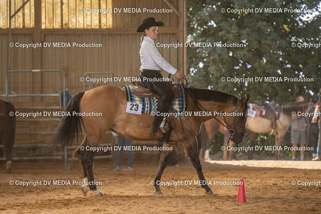 NID03051 | dv-media-shop - Realisiert mit Pictrs.com