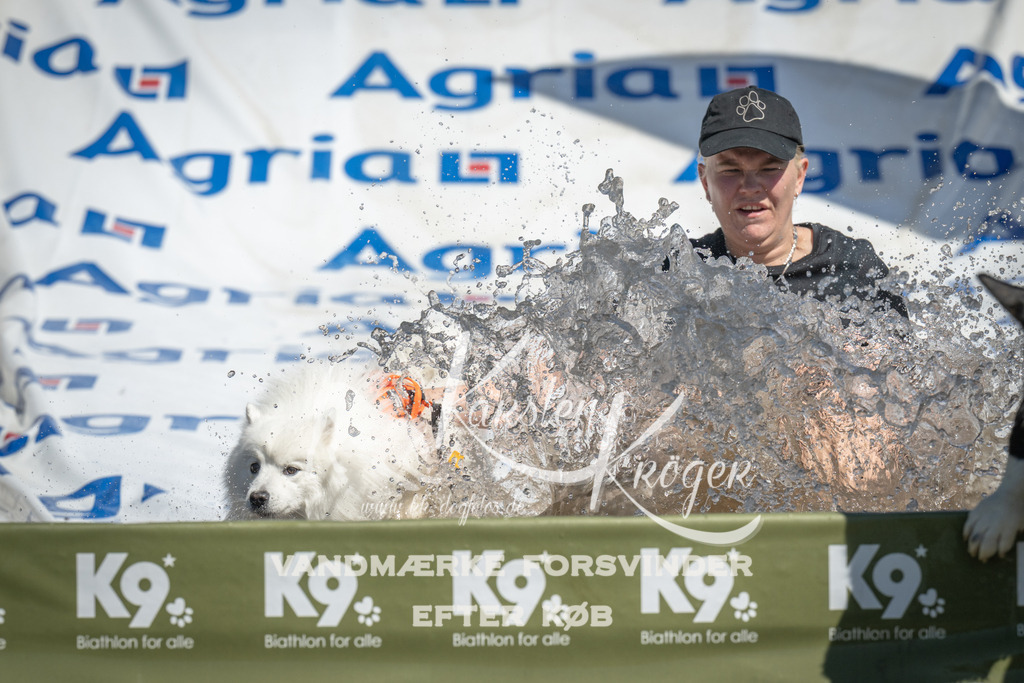 1259_ZZ97980 | kk-dogfotos