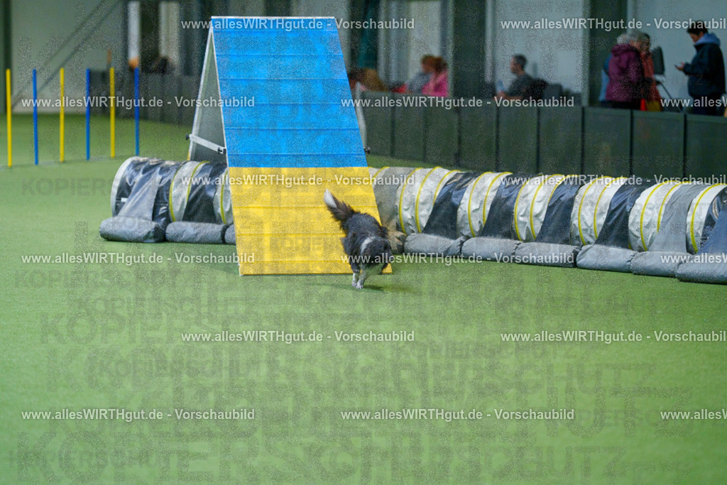 @allesWIRTHgut_Tierfotografie - www.allesWIRTHgut.de - 2604250840-7R507346 | Professionelle Tierfotografie in Mönchengladbach von Daniel Wirth (allesWIRTHgut). Liebevolle & natürliche Bilder von Hunden & Katzen für unvergessliche Erinnerungen.