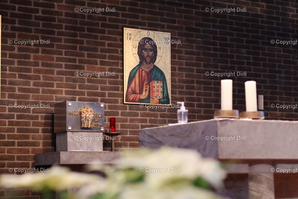 IMG_2083 | Didi - Realisiert mit Pictrs.com