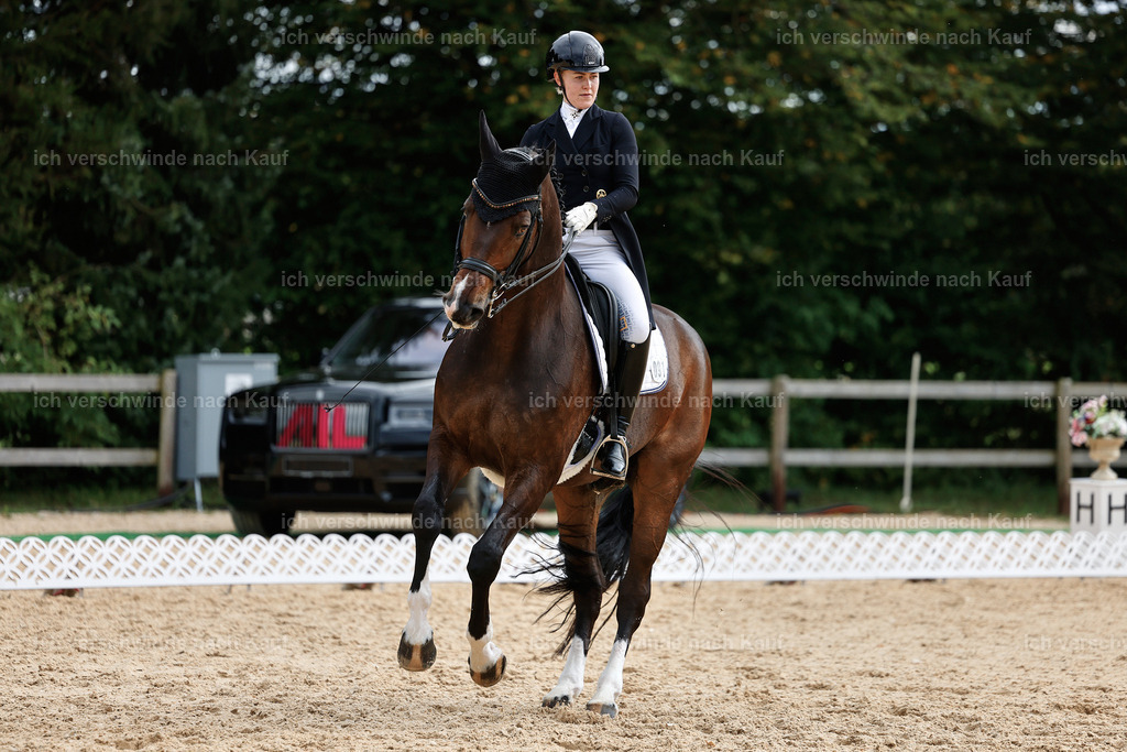 11-091-Dressur S___-StoibPH-1284 | working equitationturnier fotograf videograf stoibphotography marixx film working equitation deutschland reitsport turnierfotografie eventfotografie equestrian events