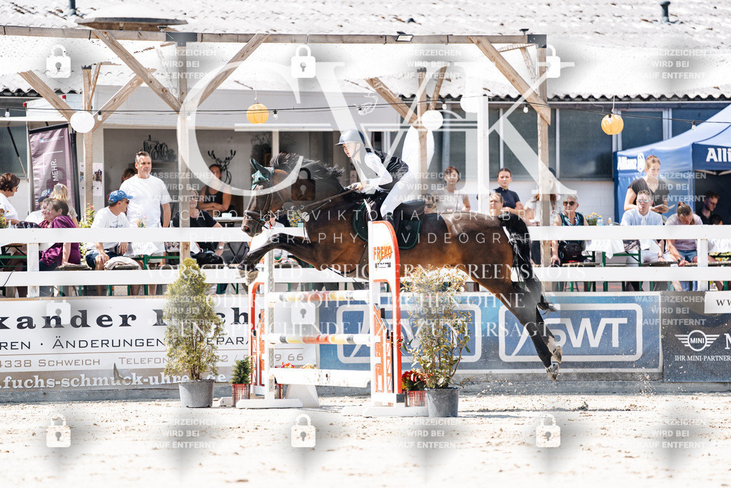 CK909652 | Turnierfotografie Pferdefotografie Trier Rheinland-Pfalz Pferdesport Reitsport Tierfotografie Sportfotografie Pferdevideo Pferdevideografie Equestrianvideography equestrianphotography  - Realisiert mit Pictrs.com