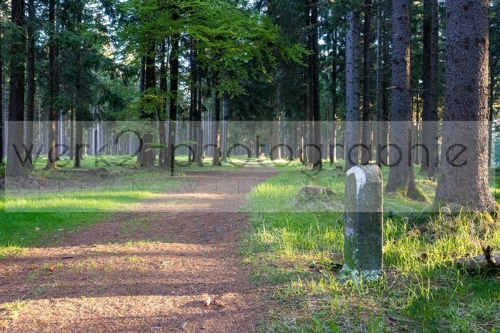 Rennsteiglauf 2019 | Marathon Neuhaus/Rwg. - Schmiedefeld am 18. Mai 2019