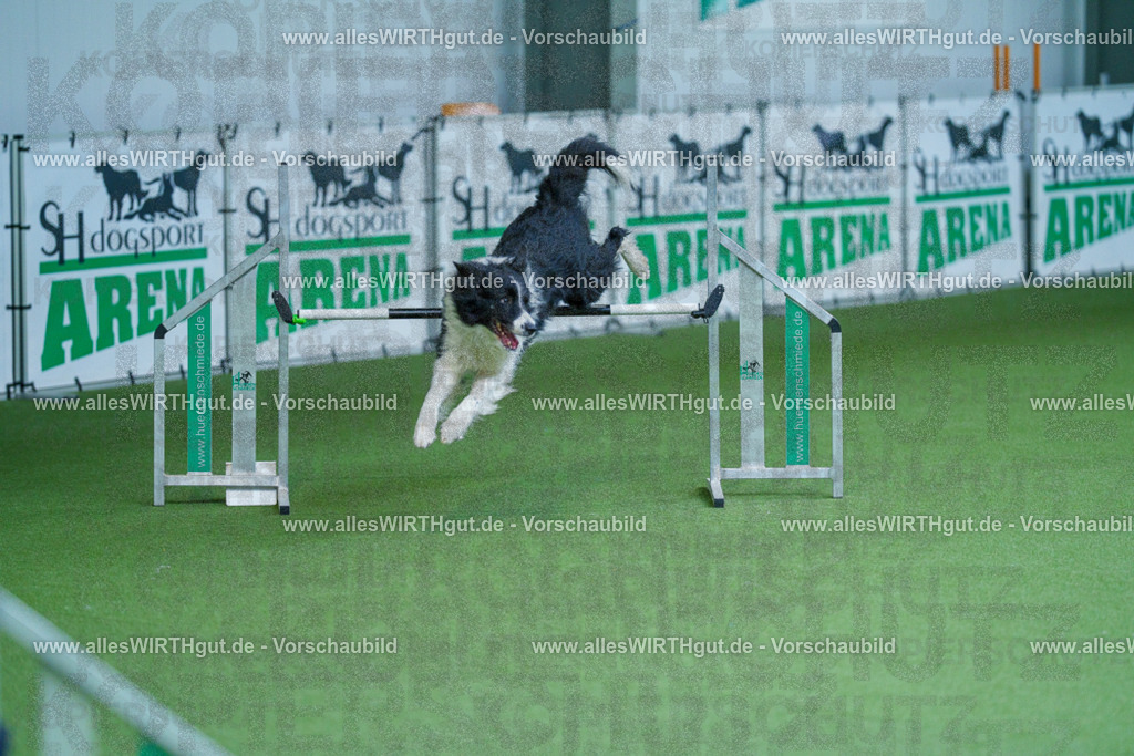 @allesWIRTHgut_Tierfotografie - www.allesWIRTHgut.de - 2604261408-7R503516 | Professionelle Tierfotografie in Mönchengladbach von Daniel Wirth (allesWIRTHgut). Liebevolle & natürliche Bilder von Hunden & Katzen für unvergessliche Erinnerungen.