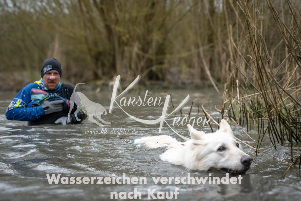 1057_ZZ94235 | kk-dogfotos