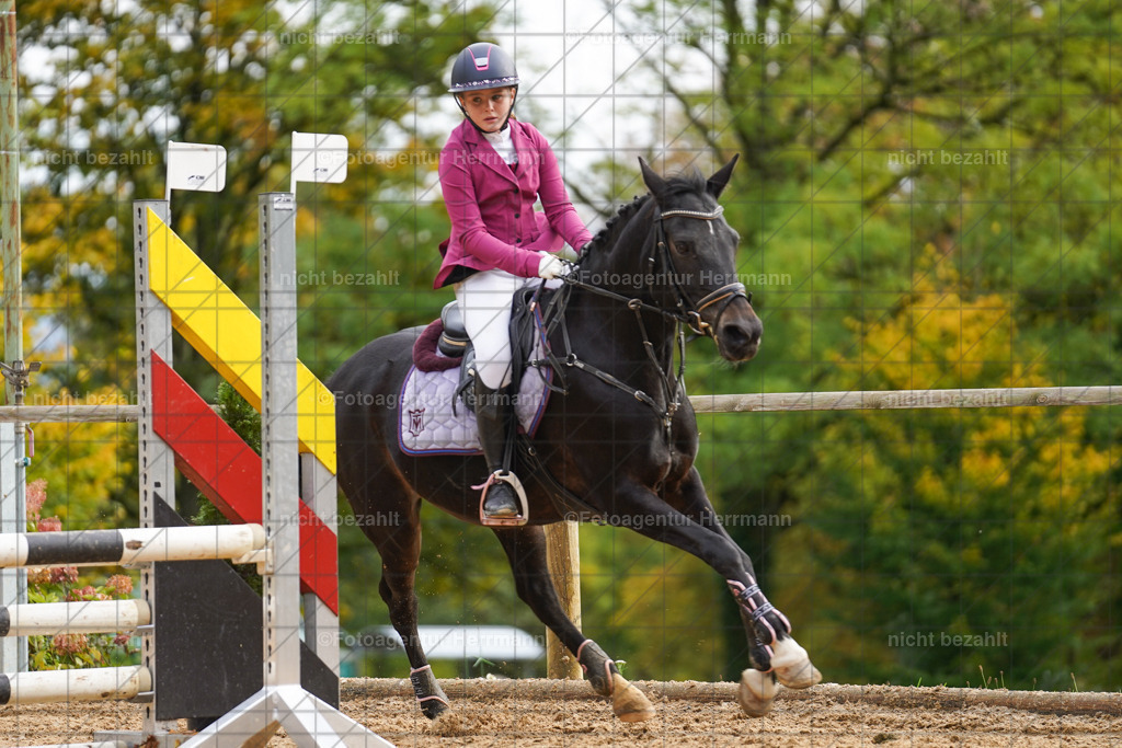 20221009-FAH08478 | Diessen am Ammersee, 2022, Dressur- und Springturnier, Reitsportbilder, Turnierfotografen Bayern, Pferdefotografen, Fotoagentur Herrmann, Turnierbilder