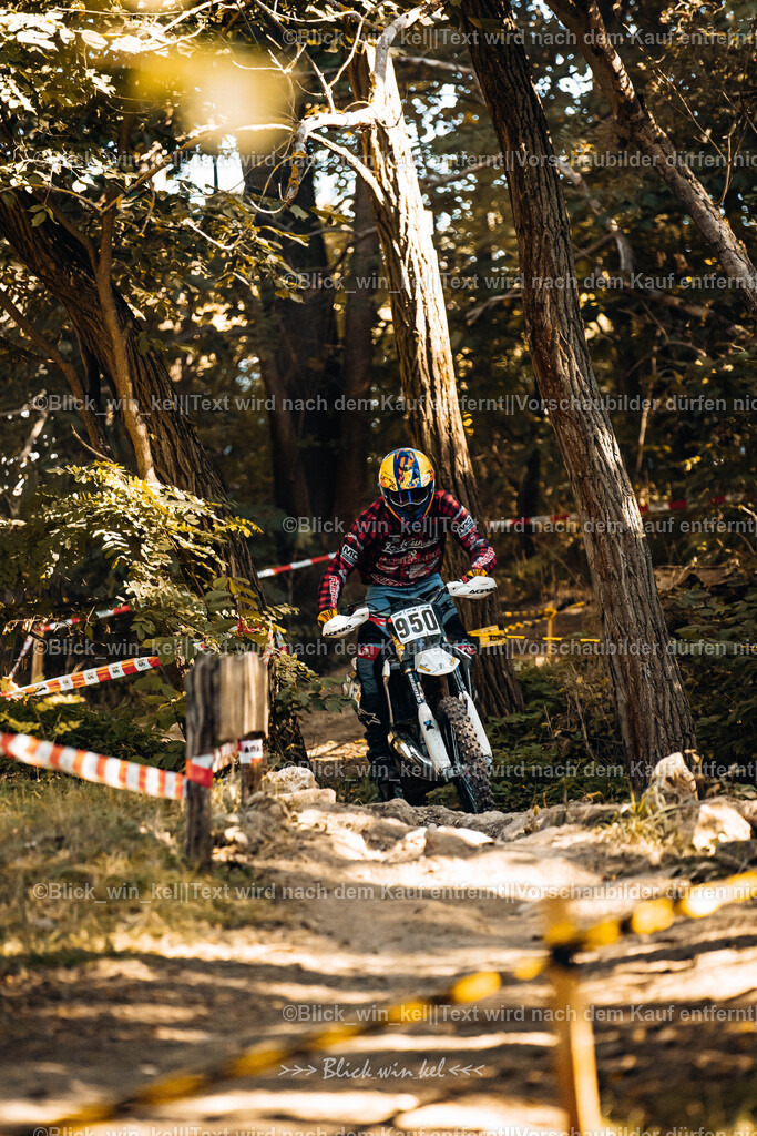 E68A5586 | blick_win_kel