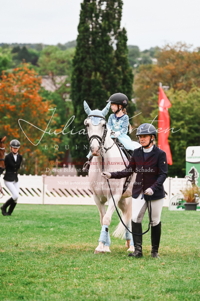 DSC_7348 | Pferde- und Turnierfotografie in Westsachsen. Pferdeportraits, Auftragszeichnungen und intuitive Kunst.