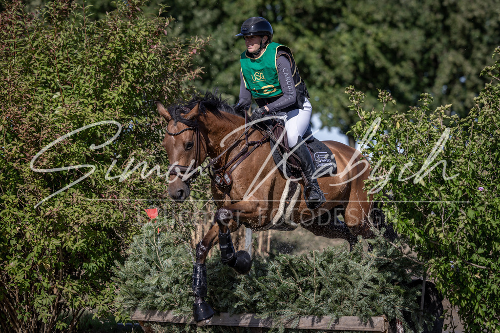 20260906-_3LI5858 | Tierfotografie Pferde, Hunde, Katzen, Haustiere.
Turnierfotografie Reitturniere, Reiten, Springreiten, Dressur in Hanau, dem Main-Kinzig-Kreis und dem Rhein-Main- Gebiet um Frankfurt