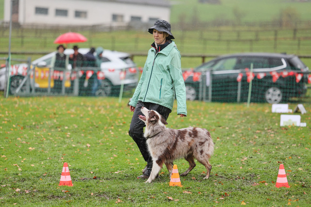 2025_Rally_Obedience_SM-214 | Ich fotografiere Hundeausstellungen, Sportanlässe, Zuchtstätten, Hundezucht, Hundeportrait, Lagotto - Realisiert mit Pictrs.com