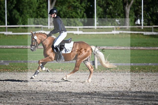 Kat-Nr. 7 Narcotic v. Nakuri_ZG Hackfurt u Weiser_43250738 | hf-fotografie - Realized with Pictrs.com