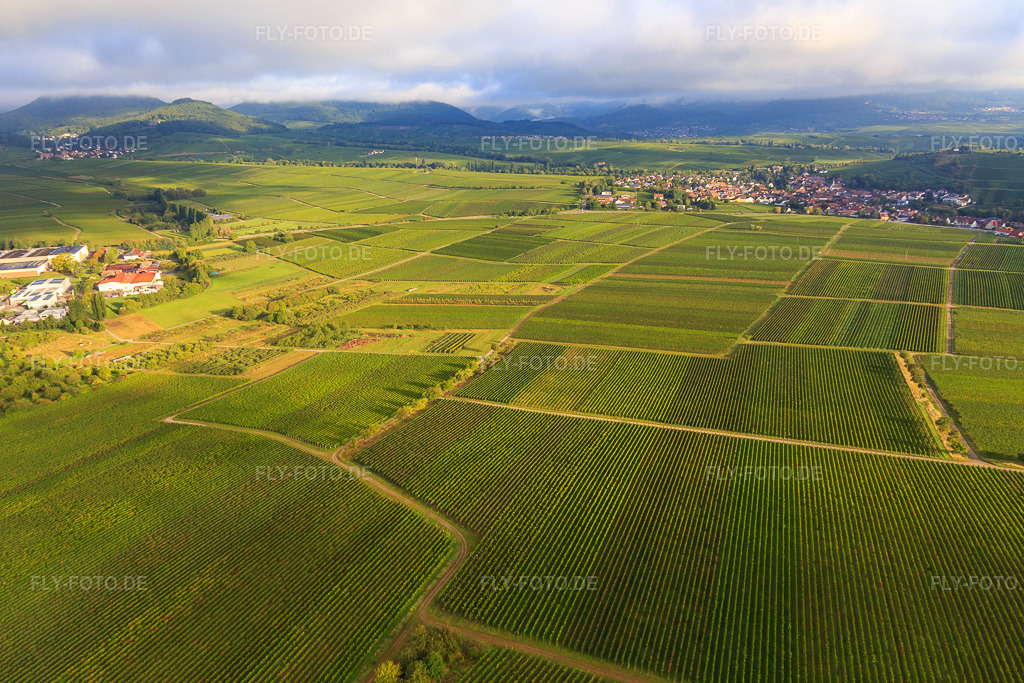 Luftbild: Weinberge in Ilbesheim bei Landau im Bundesland Rheinland-Pfalz in Deutschland. Foto: IMG_103313.jpg vom 10.09.2017 durch Werner Riehm/FLY-FOTO.de