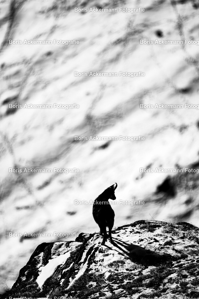 148A5099 | FineArtPrint, Hahnemühle, FeeGalerie, Fee Galerie, Fotokunst, Fotografie, Canonphotography, Bergfoto, Matterhorn, Rimpfischhorn, Allalinhorn, Saas-Fee, Wallis, Valais, Switzerland, Bergfotografie