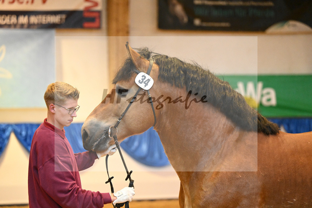 Kat-Nr. 34 Adel_Kaufmann_53221182 | hf-fotografie - Realizzato con Pictrs.com