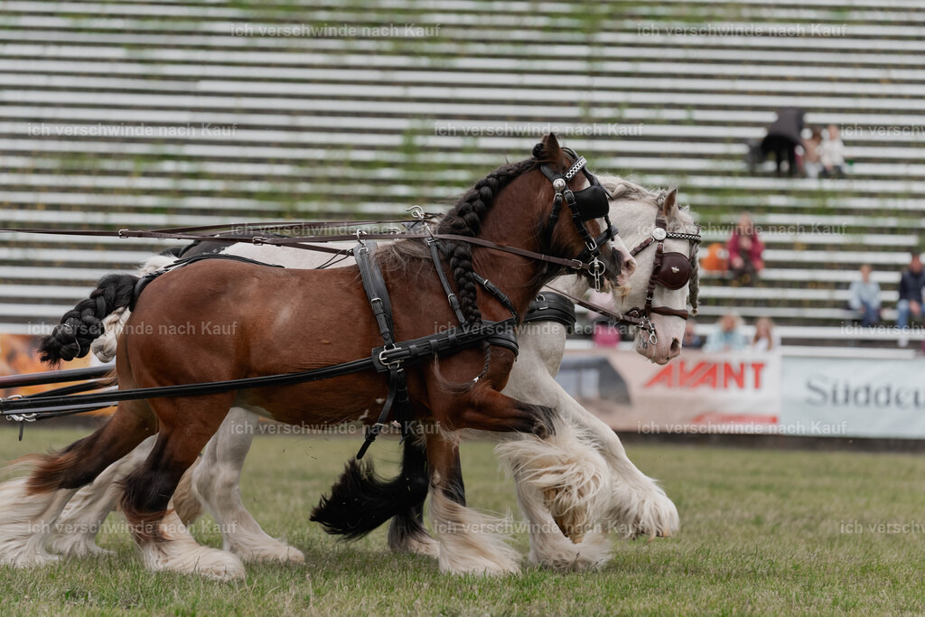 Showprogramm-218 | working equitationturnier fotograf videograf stoibphotography marixx film working equitation deutschland reitsport turnierfotografie eventfotografie equestrian events