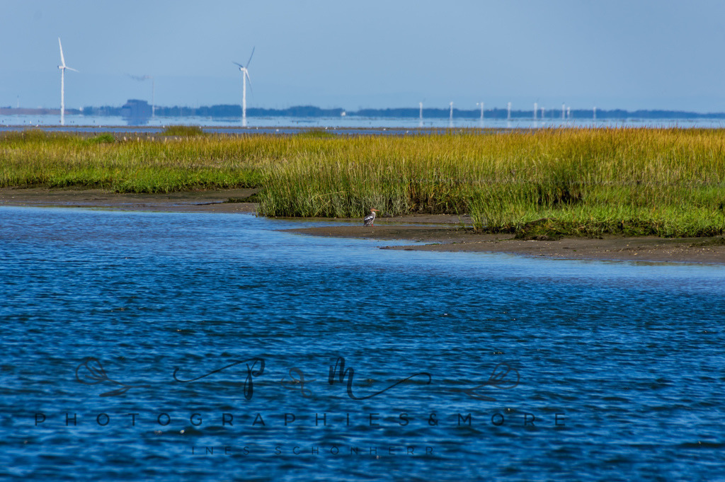 IMGP0383 | Nordseeinsel Mandö - Realisiert mit Pictrs.com