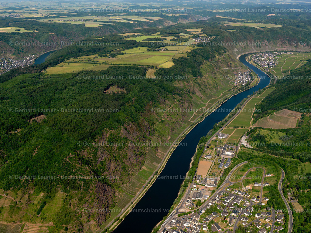 Weinberge-Cochem-Valwig-3114285 | Weinberge zw. Cochem und Valwig