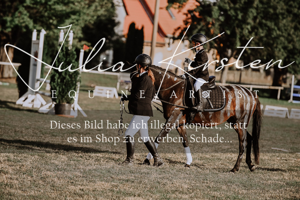 DSC_0214 | Pferde- und Turnierfotografie in Westsachsen. Pferdeportraits, Auftragszeichnungen und intuitive Kunst.