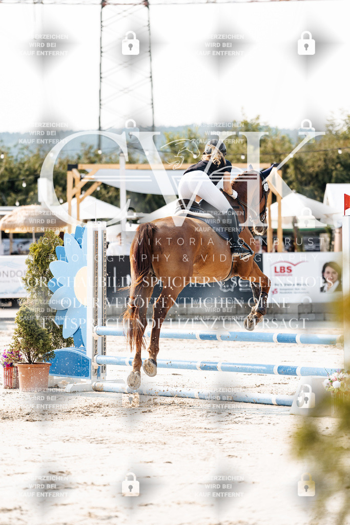 CK902836 | Turnierfotografie Pferdefotografie Trier Rheinland-Pfalz Pferdesport Reitsport Tierfotografie Sportfotografie Pferdevideo Pferdevideografie Equestrianvideography equestrianphotography  - Realisiert mit Pictrs.com
