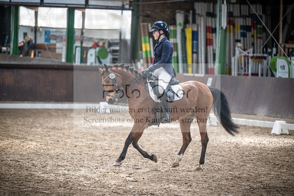 DOS_0985 | Entdecke hochwertige Reitturnierfotos von Foto Oger. Professionell, emotional und authentisch – jetzt Lieblingsmomente im Shop bestellen.Deutschlandweite Turnierfotografie. - Realisiert mit Pictrs.com